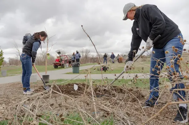 Students gardening